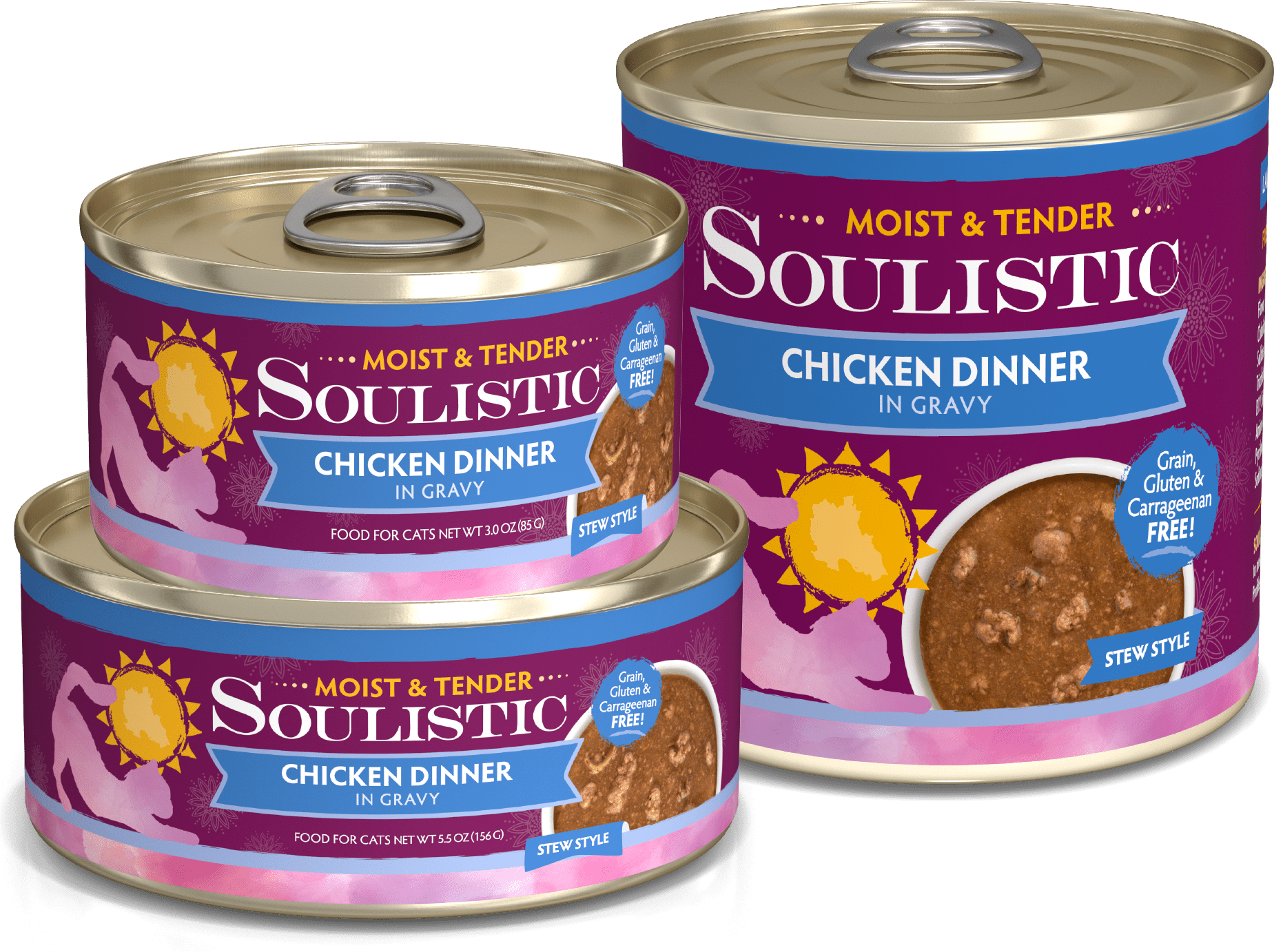 Soulistic Chicken Dinner In Gravy